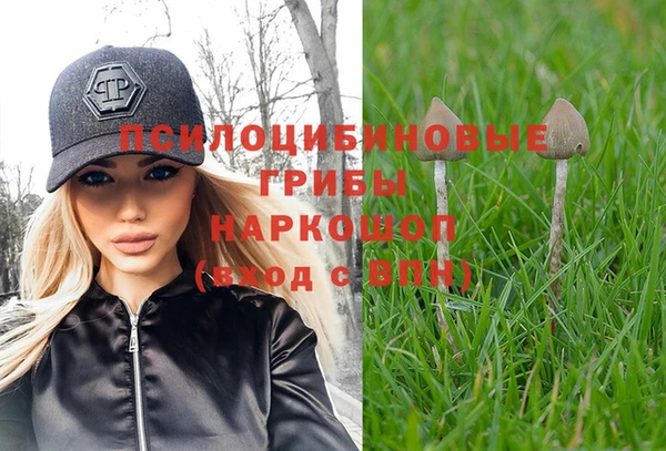 синтетический гашиш Бородино