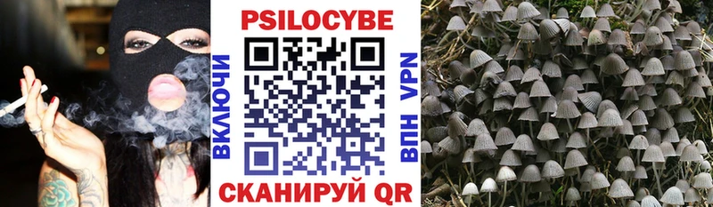 Купить закладки  Медногорск  Псилоцибиновые грибы мицелий 